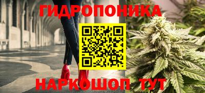 амф Кимры