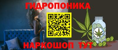 Альфа ПВП Кинель