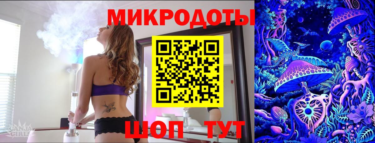 Псилоцибиновые грибы Psilocybine cubensis Красногорск